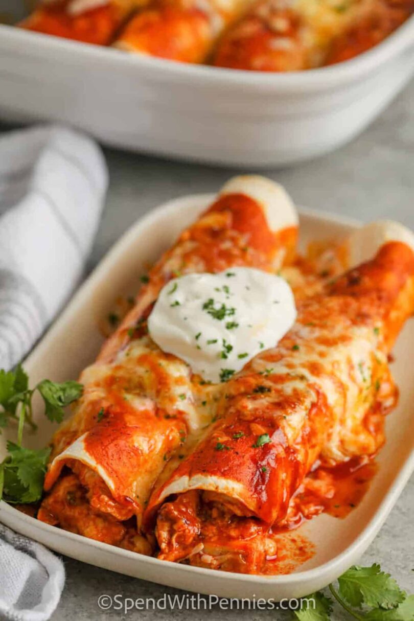 Leftover Turkey Enchiladas – Spend With Pennies
