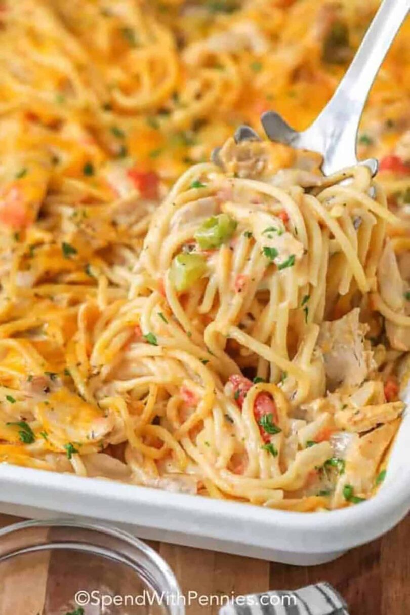 Homemade Chicken Spaghetti – Spend With Pennies