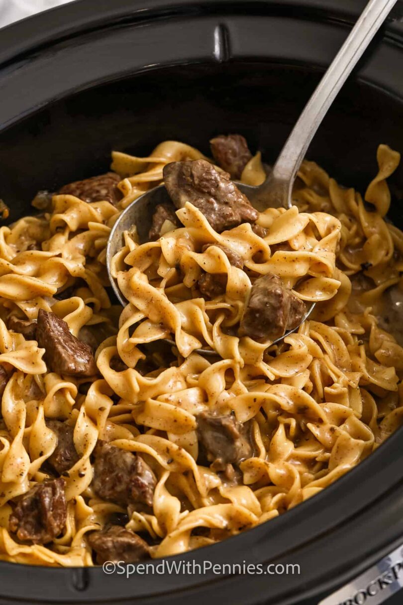 Crock-Pot-Beef-and-Noodles-SpendWithPennies-7.jpg Crock Pot Beef and Noodles
