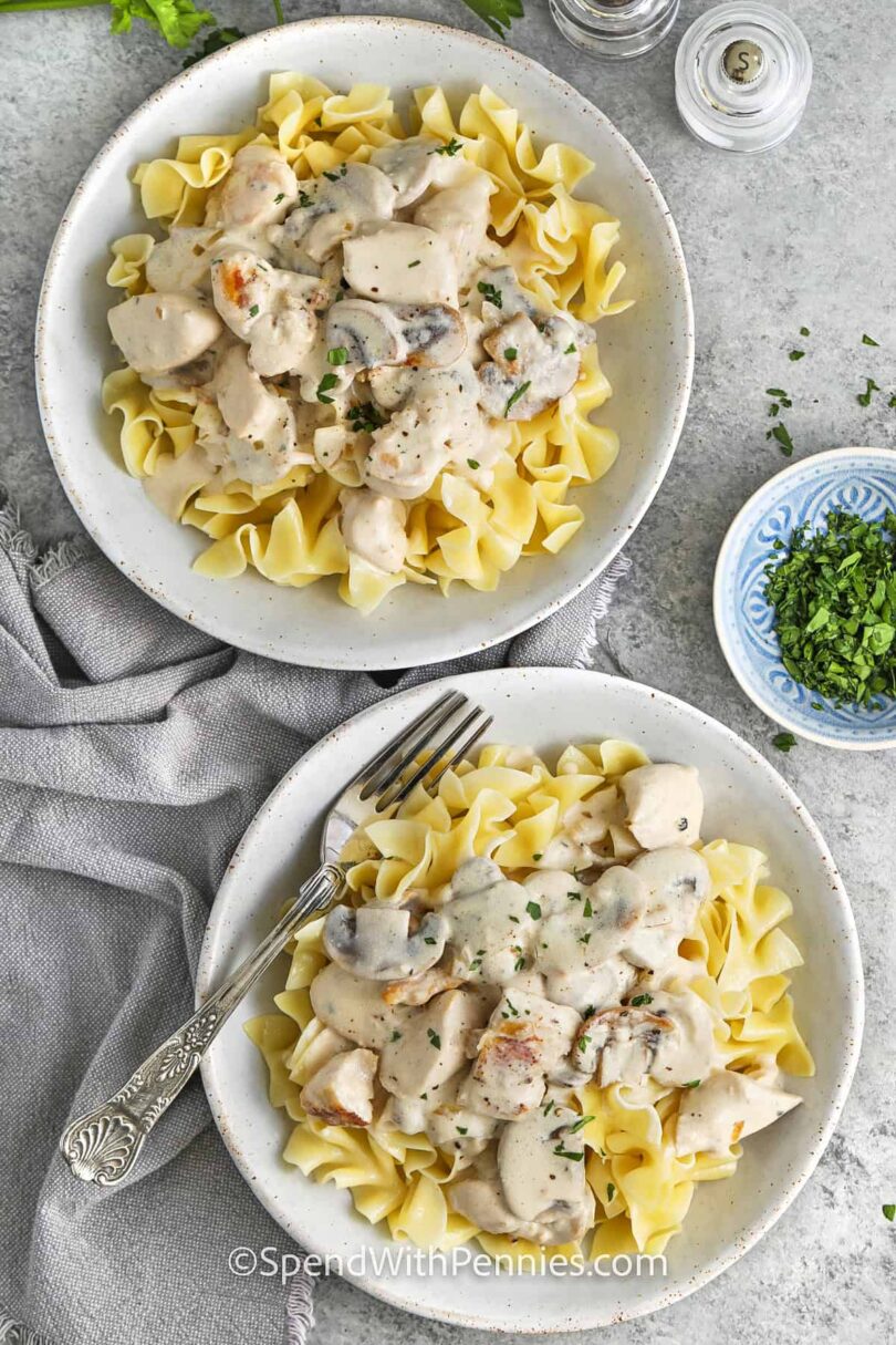 Chicken Stroganoff – Spend With Pennies
