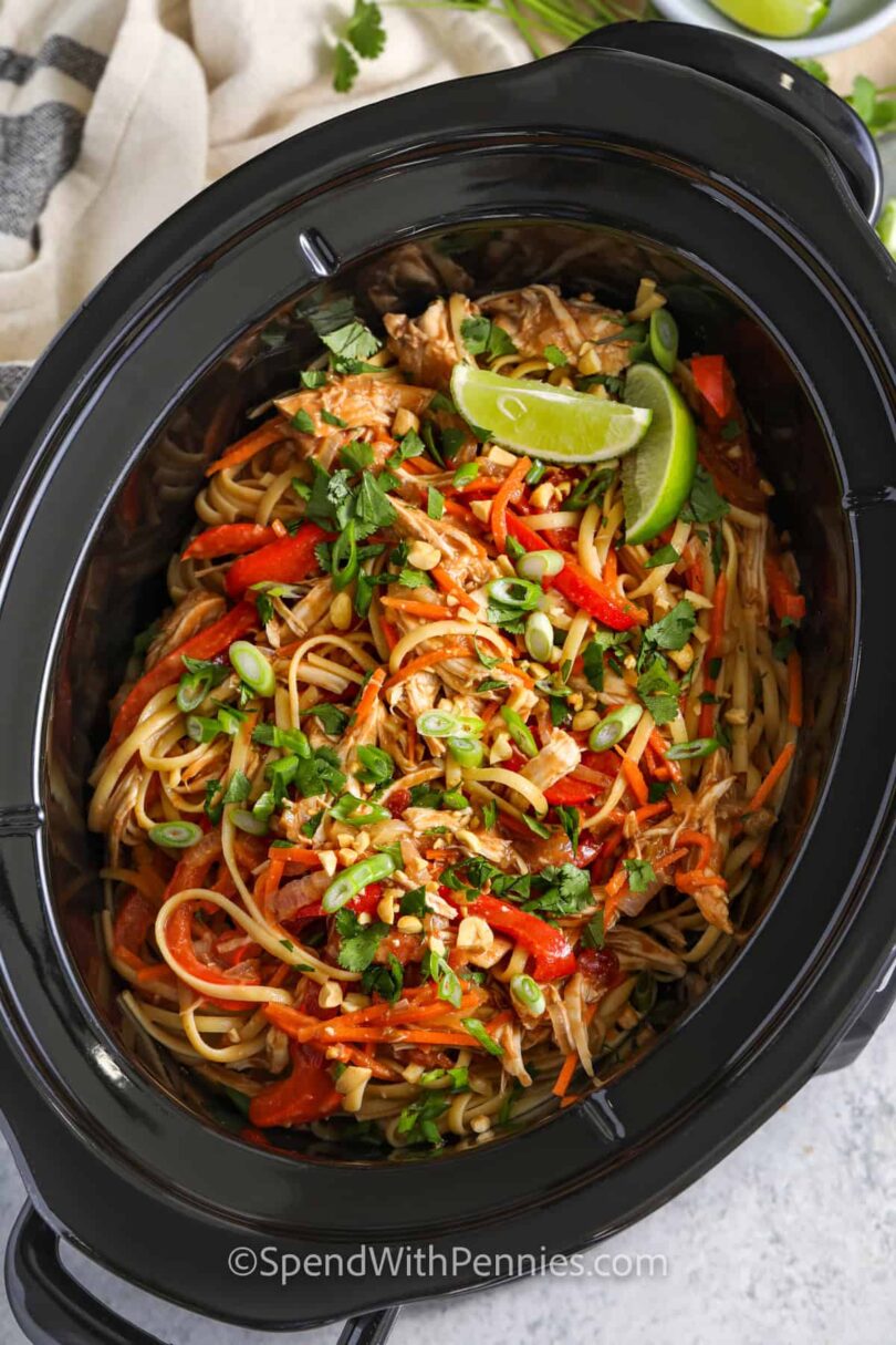 Slow Cooker Chicken Peanut Noodles