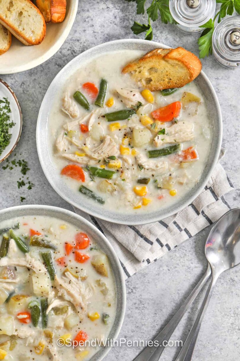 Slow Cooker Chicken Stew – Spend With Pennies