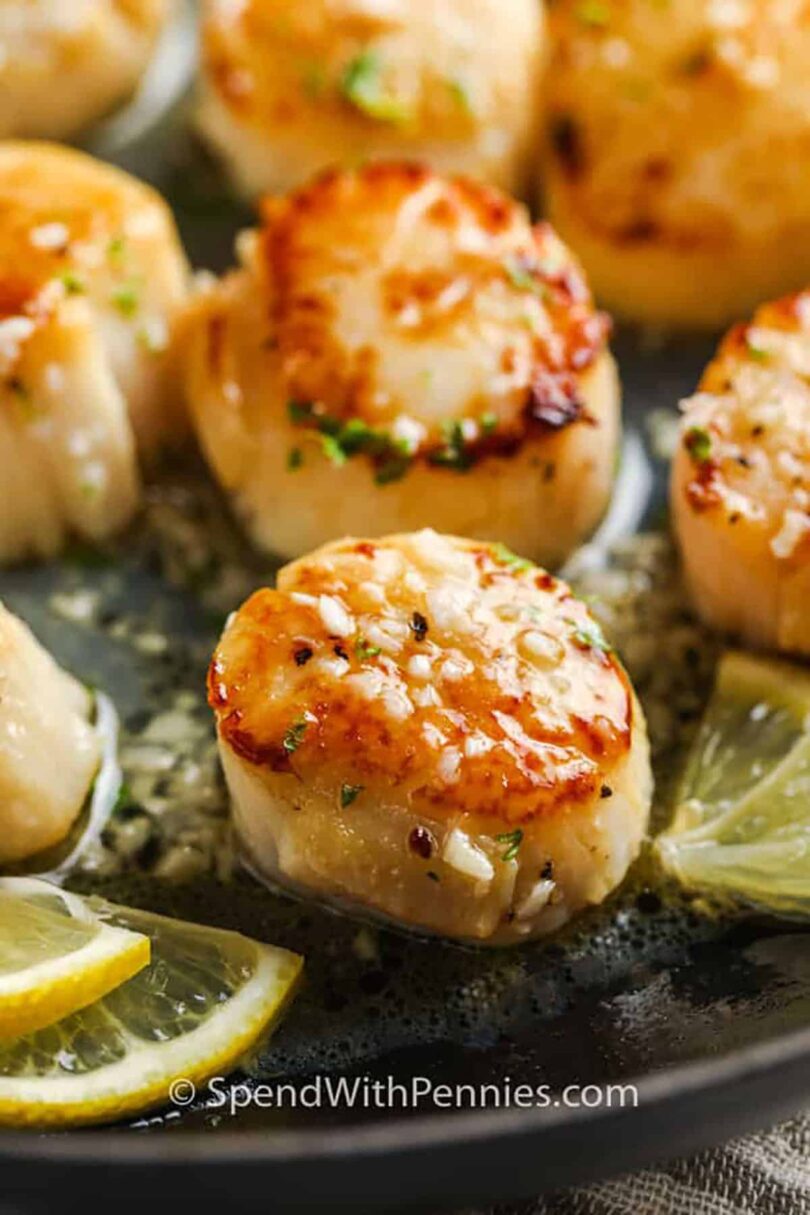 Pan Seared Scallops – Spend With Pennies