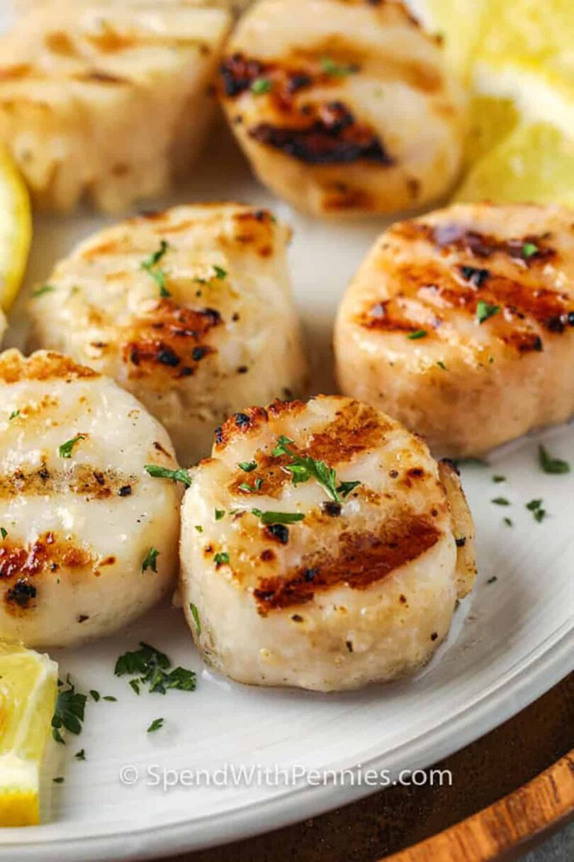 Grilled Scallops – Spend With Pennies